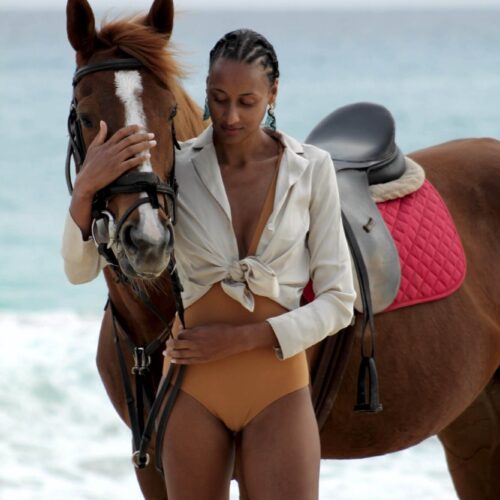 horse.model.african